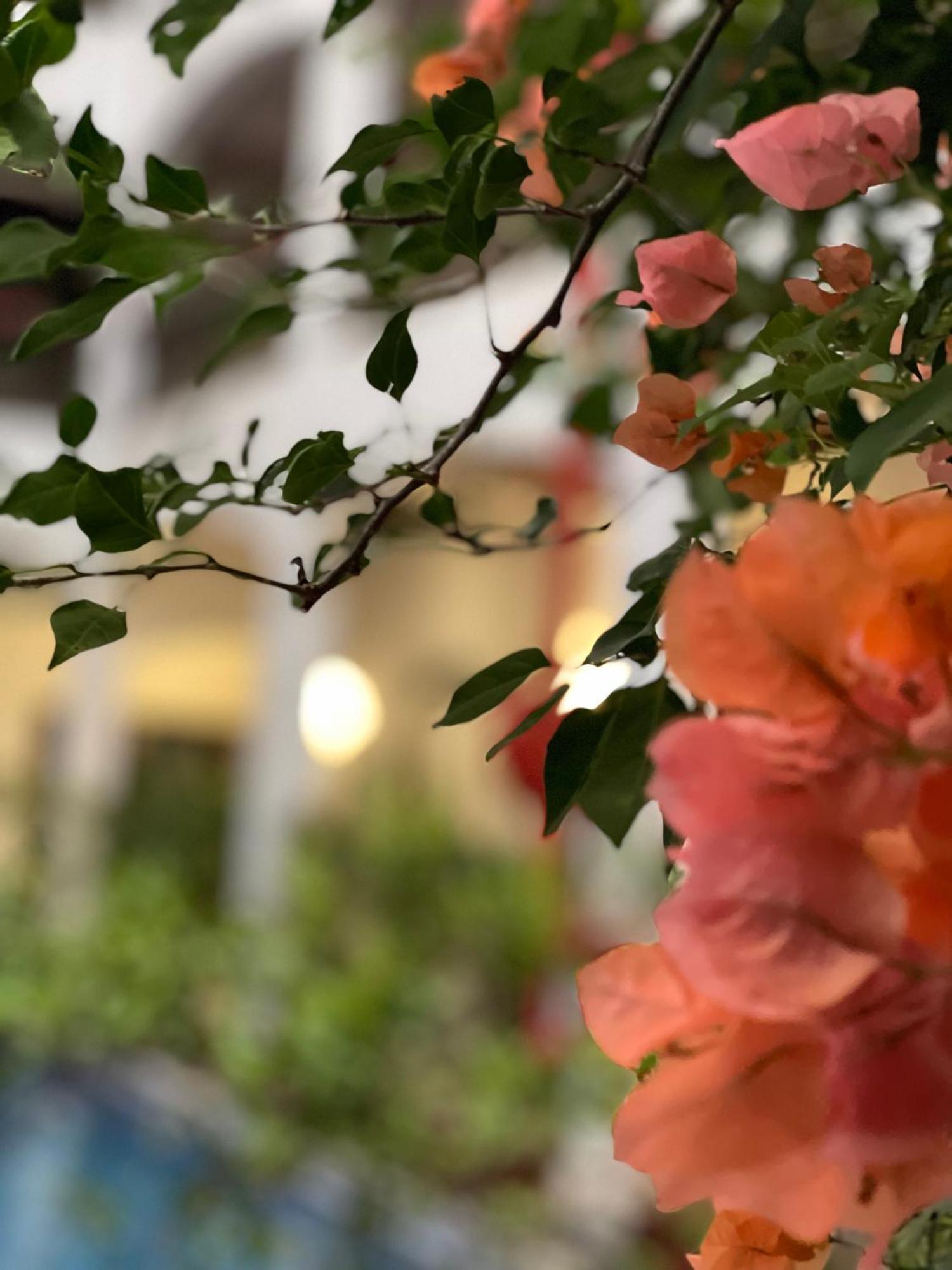 The Killians Boutique Hotel Kochi Екстер'єр фото